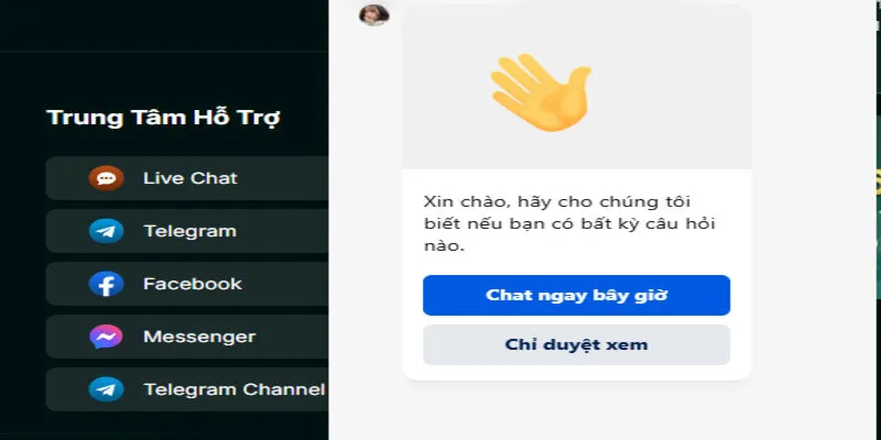 Dịch vụ đá gà của FO88 có hỗ trợ khách hàng không?