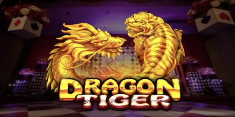 Mẹo Chơi Rồng Hổ Online